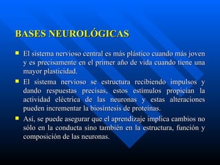 BASES NEUROLÓGICAS El sistema nervioso central es más plástico cuando más joven y es precisamente en el primer año de vida cuando tiene una mayor plasticidad.  El sistema nervioso se estructura recibiendo impulsos y dando respuestas precisas, estos estímulos propician la actividad eléctrica de las neuronas y estas alteraciones pueden incrementar la biosíntesis de proteínas. Así, se puede asegurar que el aprendizaje implica cambios no sólo en la conducta sino también en la estructura, función y composición de las neuronas.  
