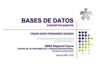 BASES DE DATOSCONCEPTOS BASICOS<br />CESAR DAVID FERNANDEZ GRUESO“El tratamiento eficiente de la información<br />al servi...