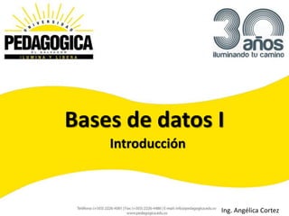 Bases de datos I
    Introducción



                   Ing. Angélica Cortez
 