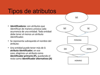 Tipos de atributos
• Identificadores: son atributos que
identifican de manera unívoca cada
ocurrencia de una entidad. Toda entidad
debe tener al menos un atributo
identificador.
• Se representa subrayando el nombre del
atributo:
• Una entidad puede tener más de 1
atributo identificador; en ese
caso, elegimos un atributo como
identificador primario (P), quedando el
resto como identificador alternativos (A)
NIP
NIP NC
PERSONA
A
DIA HORA
HORARIO
 