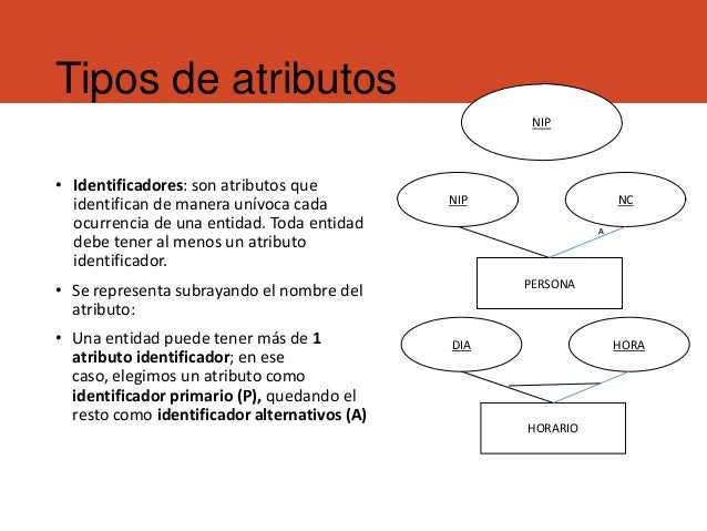 Bases de datos