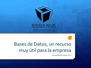 Bases	
  de	
  Datos,	
  un	
  recurso	
  
muy	
  útil	
  para	
  la	
  empresa	
  
www.adelaidamegias.com	
  
 