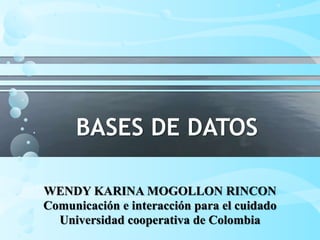 BASES DE DATOS
WENDY KARINA MOGOLLON RINCON
Comunicación e interacción para el cuidado
Universidad cooperativa de Colombia
 