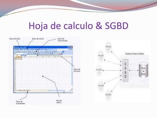 Hoja de calculo & SGBD
 