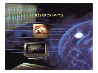 BASES DE DATOS



Bases de datos
 