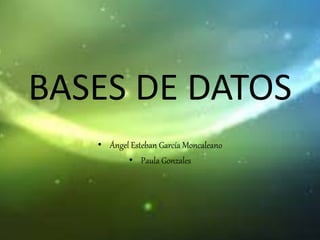 BASES DE DATOS
• Ángel Esteban García Moncaleano
• Paula Gonzales
 