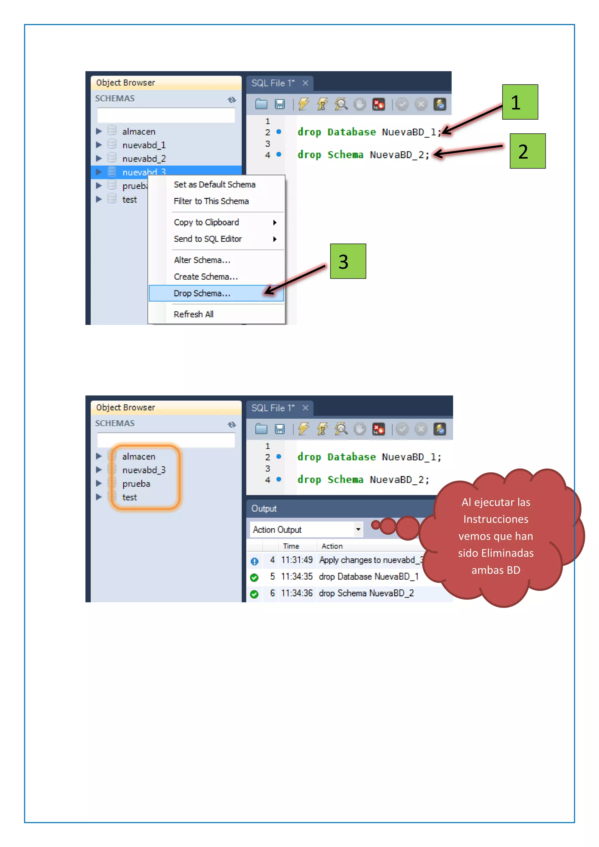 1
2

3

Al ejecutar las
Instrucciones
vemos que han
sido Eliminadas
ambas BD

 