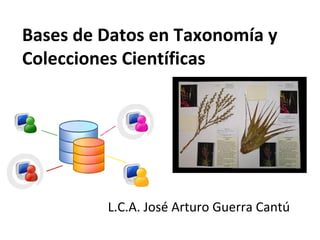 Bases de Datos en Taxonomía y
Colecciones Científicas
L.C.A. José Arturo Guerra Cantú
 