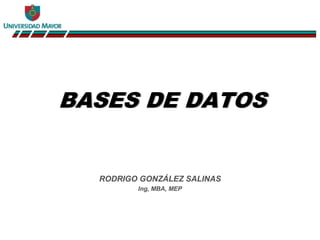 BASES DE DATOS 
RODRIGO GONZÁLEZ SALINAS 
Ing, MBA, MEP 
 