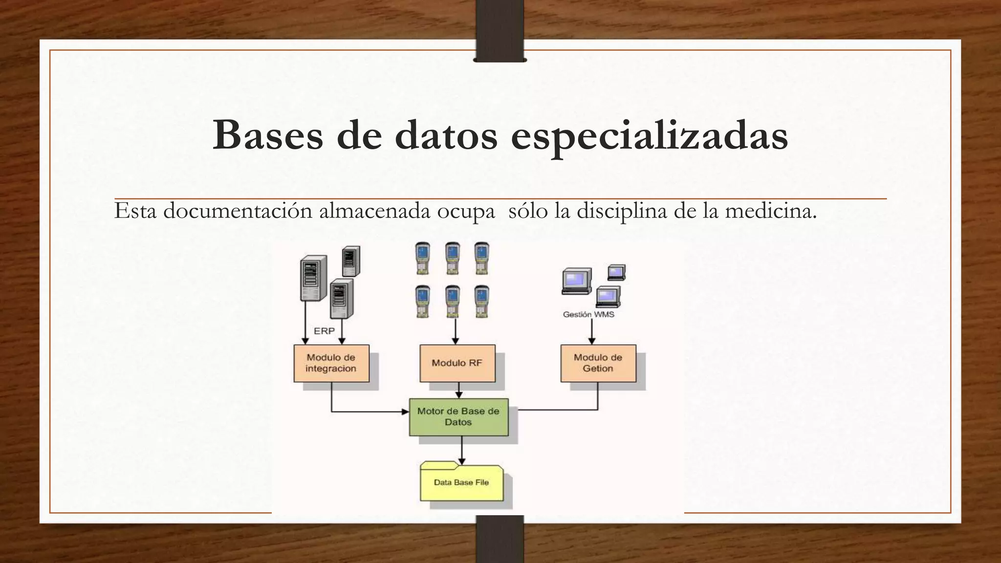 Bases de datos especializadas 
Esta documentación almacenada ocupa sólo la disciplina de la medicina. 
 