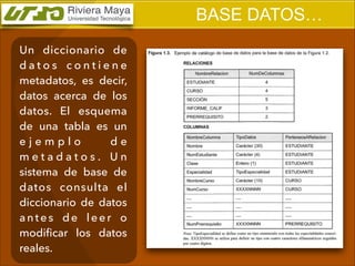 BASE DATOS…
Un diccionario de
datos contiene
metadatos, es decir,
datos acerca de los
datos. El esquema
de una tabla es un
ejemplo
de
metadatos. Un
sistema de base de
datos consulta el
diccionario de datos
antes de leer o
modiﬁcar los datos
reales.

 