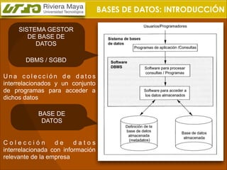 BASES DE DATOS: INTRODUCCIÓN
SISTEMA GESTOR
DE BASE DE
DATOS
DBMS / SGBD
Una colección de datos
interrelacionados y un conjunto
de programas para acceder a
dichos datos
BASE DE
DATOS
Colección
de
datos
interrelacionada con información
relevante de la empresa

 