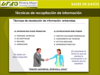 BASES DE DATOS
Técnicas de recopilación de información