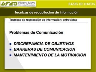 BASES DE DATOS
Técnicas de recopilación de información

 