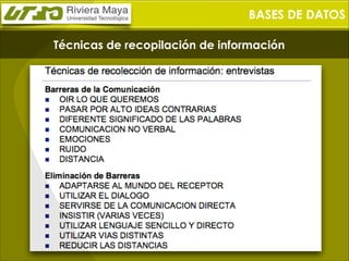BASES DE DATOS
Técnicas de recopilación de información

 