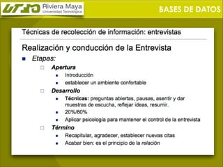 BASES DE DATOS

 