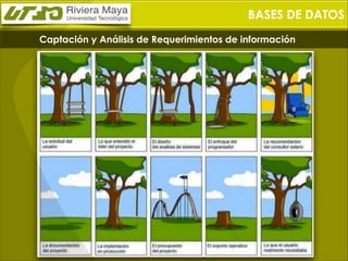 BASES DE DATOS
Captación y Análisis de Requerimientos de información

 