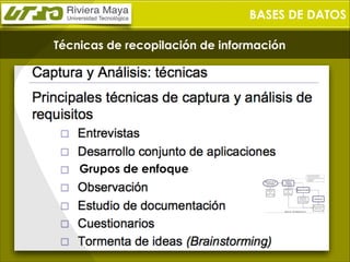 BASES DE DATOS
Técnicas de recopilación de información

Grupos de enfoque

 