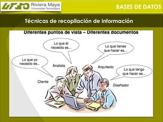 BASES DE DATOS
Técnicas de recopilación de información

 