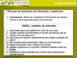 BASES DE DATOS

 