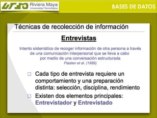 BASES DE DATOS