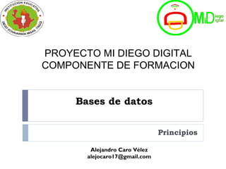 Bases de datos
Principios
Alejandro Caro Vélez
alejocaro17@gmail.com
PROYECTO MI DIEGO DIGITAL
COMPONENTE DE FORMACION
 