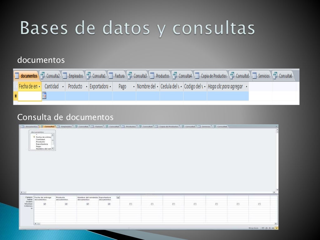 Bases de datos y consultas