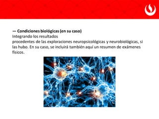 — Condiciones biológicas (en su caso)
Integrando los resultados
procedentes de las exploraciones neuropsicológicas y neurobiológicas, si
las hubo. En su caso, se incluirá también aquí un resumen de exámenes
físicos.
 