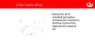 Área madurativa
• Evaluación de la
actividad perceptiva,
coordinación visomotriz,
destreza motora fina,
organización espacial,
etc.
 