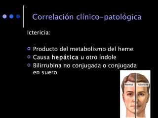 Correlación clínico-patológica Ictericia: Producto del metabolismo del heme Causa  hepática  u otro índole Bilirrubina no conjugada o conjugada en suero 