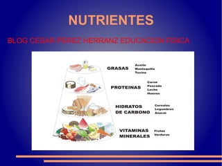 NUTRIENTES
BLOG CESAR PEREZ HERRANZ EDUCACION FISICA
 