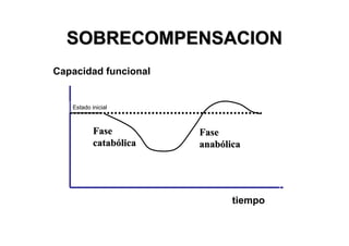 SOBRECOMPENSACION
Capacidad funcional


   Estado inicial



           Fase         Fase
           catabólica   anabólica




                               tiempo
 