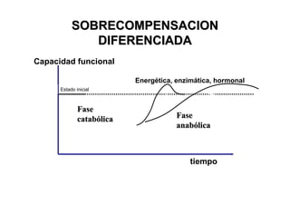 SOBRECOMPENSACION
              DIFERENCIADA
Capacidad funcional

                           Energética, enzimática, hormonal
      Estado inicial



              Fase
              catabólica               Fase
                                       anabólica



                                           tiempo
 