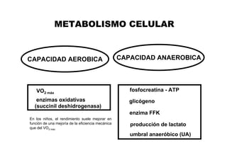 METABOLISMO CELULAR


CAPACIDAD AEROBICA                                 CAPACIDAD ANAEROBICA




   VO2 máx                                            fosfocreatina - ATP
   enzimas oxidativas                                 glicógeno
  (succinil deshidrogenasa)
                                                      enzima FFK
En los niños, el rendimiento suele mejorar en
función de una mejoría de la eficiencia mecánica      producción de lactato
que del VO2 máx
                                                      umbral anaeróbico (UA)
 