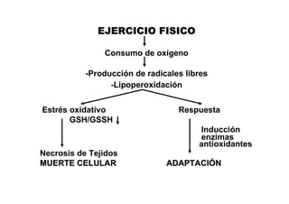 EJERCICIO FISICO

               Consumo de oxígeno

           -Producción de radicales libres
                 -Lipoperoxidación


Estrés oxidativo                  Respuesta
       GSH/GSSH
                                       Inducción
                                       enzimas
                                       antioxidantes
Necrosis de Tejidos
MUERTE CELULAR                 ADAPTACIÓN
 