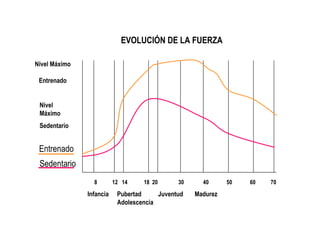 EVOLUCIÓN DE LA FUERZA

Nivel Máximo

 Entrenado


 Nivel
 Máximo
 Sedentario


 Entrenado
 Sedentario
                 8        12 14    18 20      30     40      50   60   70
               Infancia    Pubertad     Juventud   Madurez
                           Adolescencia
 