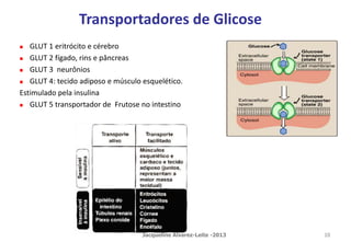 Transportadores de Glicose
 GLUT 1 eritrócito e cérebro
 GLUT 2 fígado, rins e pâncreas
 GLUT 3 neurônios
 GLUT 4: tecido adiposo e músculo esquelético.
Estimulado pela insulina
 GLUT 5 transportador de Frutose no intestino
Jacqueline Alvarez-Leite -2013 10
 