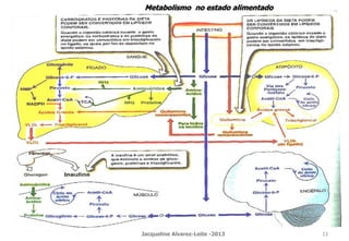 Metabolismo no estado alimentado
Jacqueline Alvarez-Leite -2013 11
 