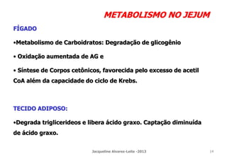 METABOLISMO NO JEJUM
FÍGADO
•Metabolismo de Carboidratos: Degradação de glicogênio
• Oxidação aumentada de AG e
• Síntese de Corpos cetônicos, favorecida pelo excesso de acetil
CoA além da capacidade do ciclo de Krebs.
TECIDO ADIPOSO:
•Degrada triglicerideos e libera ácido graxo. Captação diminuída
de ácido graxo.
Jacqueline Alvarez-Leite -2013 14
 