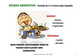 ESTADO ABSORTIVO: Período de 2 a 4 horas após ingestão.
↑ insulina
↓ glucagon
↑ Glicose,
↑ Aminoácidos
↑ Triglicérides
SANGUE
PÂNCREAS
Jacqueline Alvarez-Leite -2013 2
 