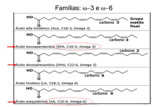 Famílias: w-3 e w-6
carbono
carbono
carbono
carbono
carbono
Jacqueline Alvarez-Leite -2013 29
 