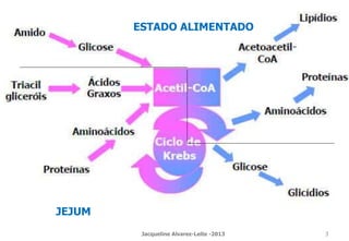 ESTADO ALIMENTADO
JEJUM
Jacqueline Alvarez-Leite -2013 3
 