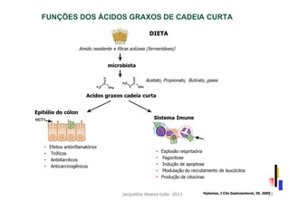FUNÇÕES DOS ÁCIDOS GRAXOS DE CADEIA CURTA
Hylemon, J Clin Gastroenterol, 39, 2005Jacqueline Alvarez-Leite -2013 33
 
