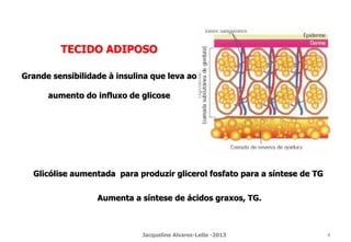 TECIDO ADIPOSO
Grande sensibilidade à insulina que leva ao
aumento do influxo de glicose
Glicólise aumentada para produzir glicerol fosfato para a síntese de TG
Aumenta a síntese de ácidos graxos, TG.
Jacqueline Alvarez-Leite -2013 4
 