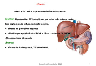 FÍGADO
PAPEL CENTRAL - Capta e metaboliza os nutrientes.
GLICOSE: Fígado retém 60% da glicose que entra pelo sistema porta.
Essa captação não influenciadapela insulina.
• ↑ Síntese de glicogênio hepático
• ↑ Glicólise para produzir acetil CoA = bloco construtor DE TUDO!
•Gliconeogênese diminuída
LÍPIDES:
• ↑ síntese de ácidos graxos, TG e colesterol.
Jacqueline Alvarez-Leite -2013 5
 