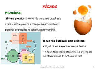 FÍGADO
PROTEÍNAS:
Síntese proteica: O corpo não armazena proteínas e
assim a síntese protéica é feita para repor eventuais
proteínas degradadas no estado absortivo prévio.
O que não é utilizado para a síntese:
• Fígado libera Aa para tecidos periféricos
• ↑ Degradação de Aa (desaminação e formação
de intermediários de Krebs p/energia)
Jacqueline Alvarez-Leite -2013 6
 