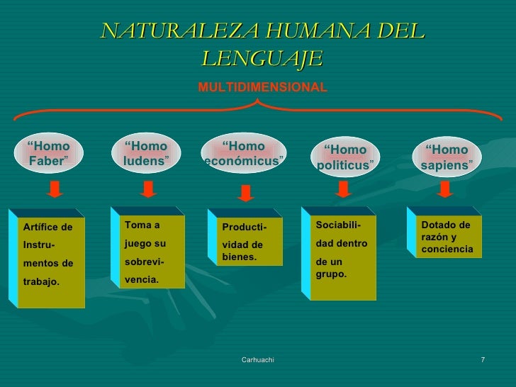 FUNDAMENTOS: BASES EPISTÉMICAS DEL LENGUAJE
