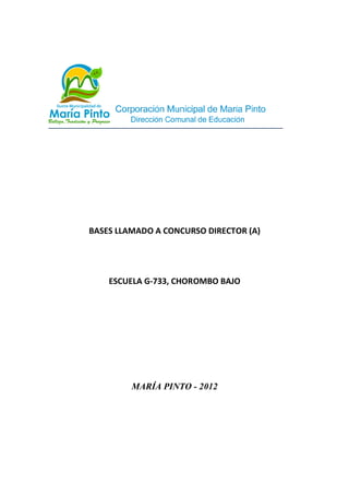 BASES LLAMADO A CONCURSO DIRECTOR (A)




    ESCUELA G-733, CHOROMBO BAJO




         MARÍA PINTO - 2012
 