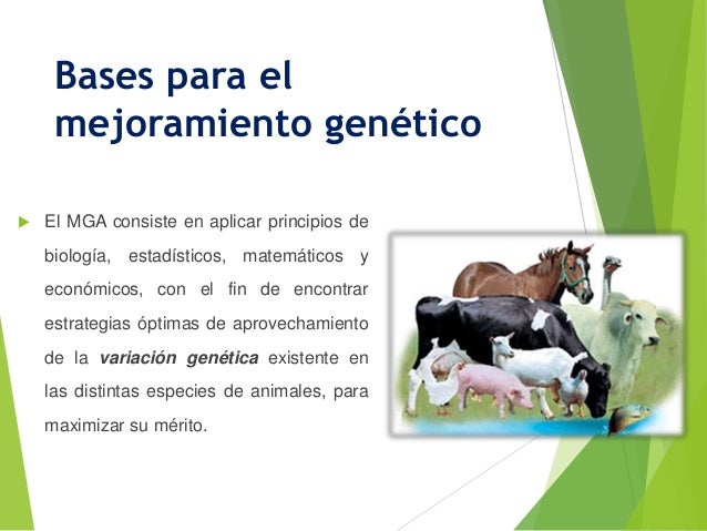 BASES ESTADÍSTICAS DEL MEJORAMIENTO ANIMAL