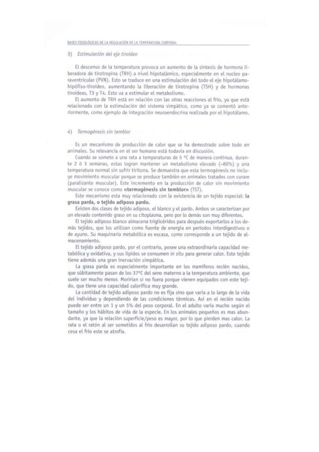 oscilacion temperatura corporal bases fisiol 243 gicas de la regulaci 243 n de la temperatura corporal oscilacion temperatura corporal bases fisiol 243 gicas de la regulaci 243 n de la temperatura corporal